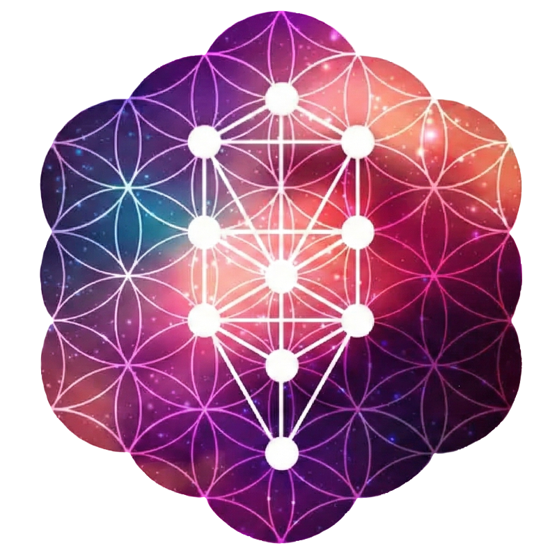 El Juego de la Vida - Arbol y Flor de la Vida